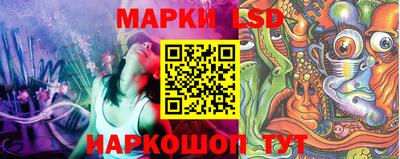 ешки Гатчина