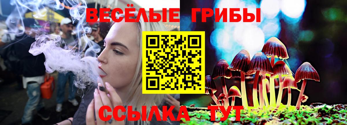 Галлюциногенные грибы ЛСД Нововоронеж