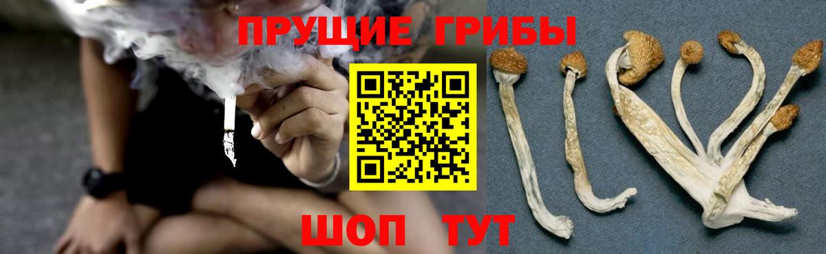 Нововоронеж  Псилоцибиновые грибы Psilocybine cubensis  Галлюциногенные грибы MAGIC MUSHROOMS  Вход с VPN 